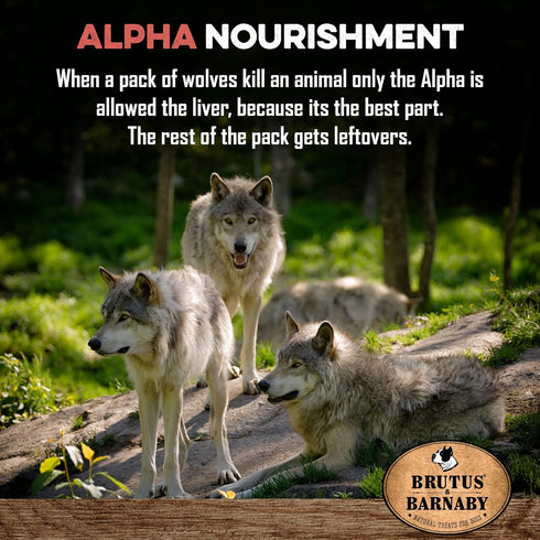 BRUTUS & BARNABY Dog Food Topper - Beef Liver, Flavor Packed Mix to Enhance Your Dog's Meal for Picky Eaters.