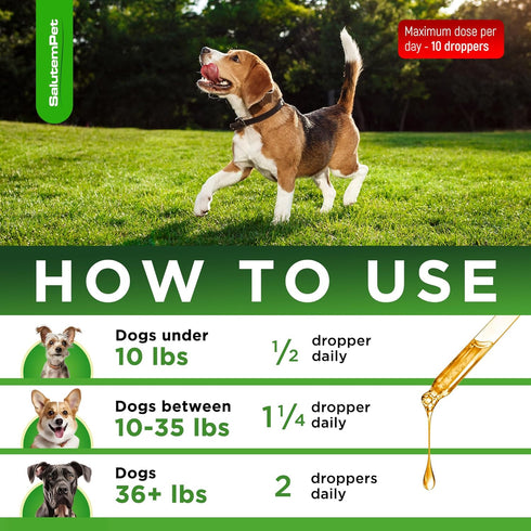 Natural Antibiotics for Dogs, Supports Dog Allergy Relief, Itch Relief, Multivitamin, Pet Antibiotics, 2 Oz