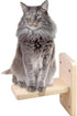 Wall Mounted Stairs for Cats, Wooden Cat Wall Shelf Set, Cat Scratching Post Steps for Climbing and Lounging