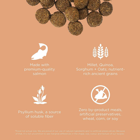 GO! SOLUTIONS Digestion + Gut Health Salmon Recipe - 3.5 Lb Bag - Dry Food for All Life Stages