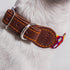 Moots Root Hand-Knitted Leather Pet Collar Red Small, (ART170S)
