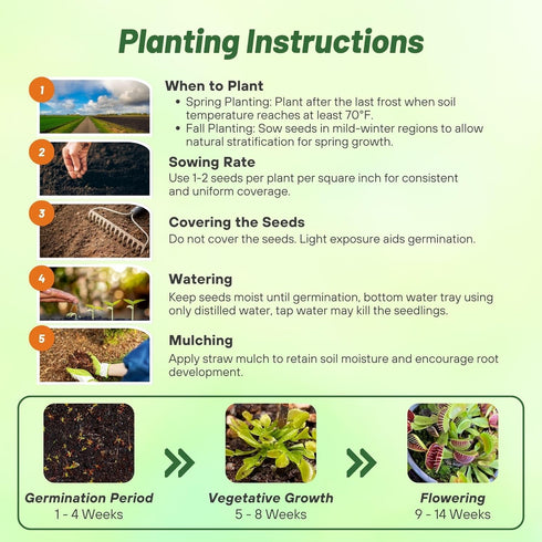 10 Outsidepride Venus Flytrap Seeds - Pcs Perennial, Unique & Carnivorous, Indoor Plant Seeds for House Plants, Easy