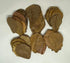 Awesome Aquatic Mulberry Immunity 2 25 Shrimp & Betta Leaves Catappa/Indian Almond, Dadap, Natural Habitat Tannin