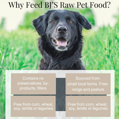 BJ's Raw Pet Food Freeze Dried Bruce Complete Mix, High Protein Nutritious Meal, 14 oz