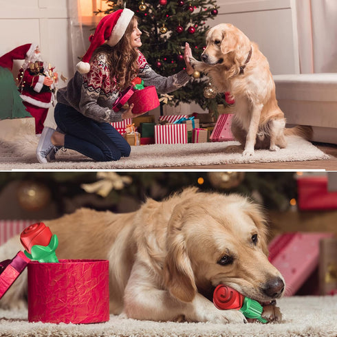 ucho Dog Toys for Aggressive Chewers, Rose Dog Toy for Small Medium Dogs, Interactive Chew Toys for Training
