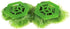 Penn-Plax Fish Breeding Grass, Baby Hideout for Fry, Plastic Aquarium Plants, 2 Pieces