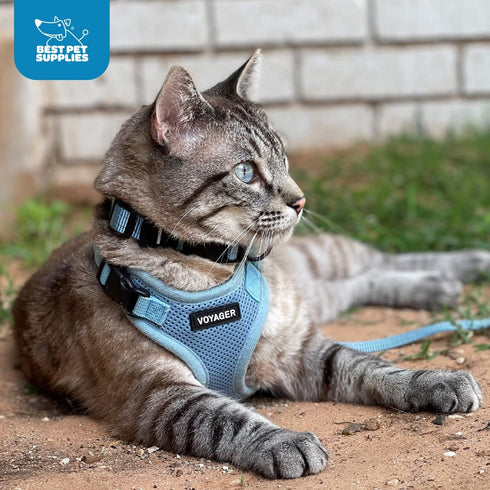 Voyager Step-in Lock Dog Harness w Reflective Dog Leash Combo Set for Small, Medium and Large Breed Puppies/Cats by