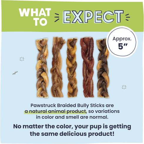 Pawstruck Natural 5” Bully Sticks for Dogs - 10 Count, Tough Long Lasting, Rawhide Free, Low Odor Chew Treat