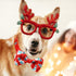Christmas Dog Collar with Bow Tie, 2 Pack Holiday Santa and Snowman Collars for Small Medium Large Dogs