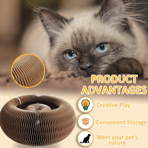Magic Organ Cat Scratching Board, Sturdy and Durable Cardboard Cat Scratcher, Easy to Use, Multi-Purpose, Protects Furniture, Comes with Toy Bell Ball and Catnip