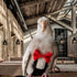 Magnoloran 80in Bird Diapers Bird Harness Tuxedo Flight Suits with Flying Leash Parrot Nappy with Waterproof Inner
