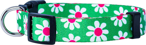 Native Pup Flower Dog Collar, Adjustable Medium, Cute Pink Floral Blue Daisy Rose, Summer Spring Essentials