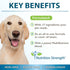 Sea Moss for Dogs - 750mg Black Seed Oil, 500mg Ashwagandha, 250mg Turmeric, 90 Tablets with Vitamin C & D3