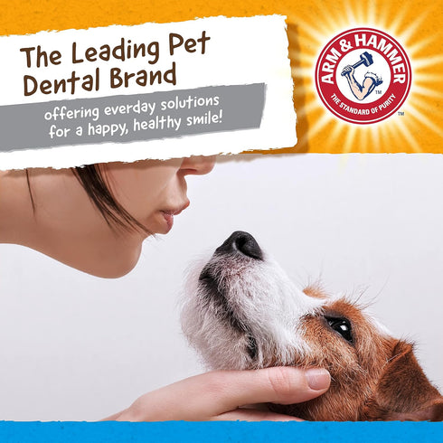 Arm & Hammer for Pets Nubbies Dental Toys, Gator Dental Chew Toy for Dogs, Reduces Plaque & Tartar