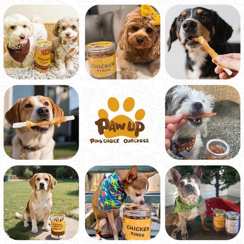 24oz PAWUP Dog Treats, Chicken Wrapped Rawhide Sticks, Long Lasting Rawhide Chews for Teeth Cleaning, Taurine Added
