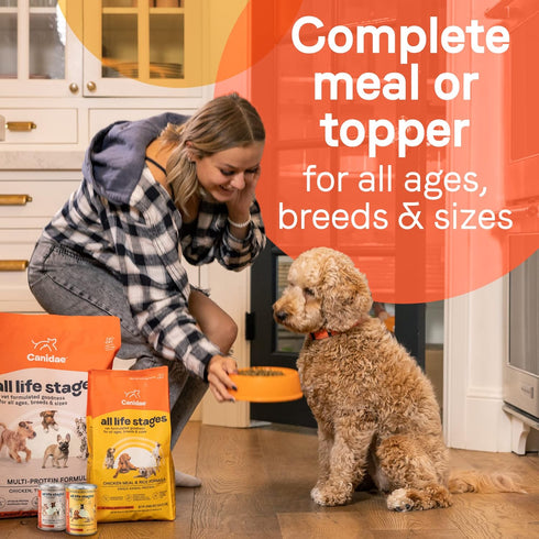 Canidae All Life Stages Premium Wet Dog Food, Chicken, Lamb and Fish Formula, 13 oz, Pack of 12