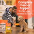 Canidae All Life Stages Premium Wet Dog Food, Chicken, Lamb and Fish Formula, 13 oz, Pack of 12