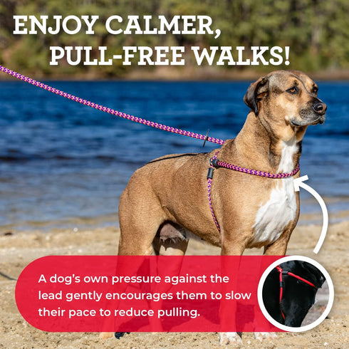 No Pull Dog Harness and Leash Set by Harness Lead, Anti Pull for All Breeds, Cushioned Rope Design (Small/Medium, Pink)