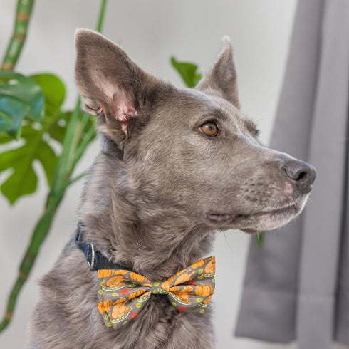 Huxley & Kent Bow Tie for Pets, Turkey Dinner (Large), Fall Velcro Bow Tie Collar Attachment, Fun Bow Ties for Dogs &