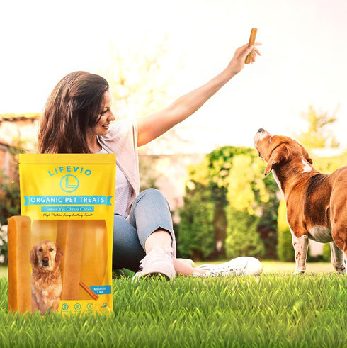 Medium Dog Chews, Himalayan Yak Cheese, 100% Natural with Pink Salt and Lime Juice, Long Lasting (1 Stick)