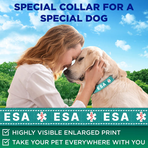 TECEUM Reflective Pet Collar – Teal - ESA – M – Extra Soft Padding – Basic Nylon Dog Collar – Quick Release Buckle – Fits Small, Medium and Large Dogs, Puppies, Cats – ESA & Service Dog Options