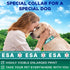 TECEUM Reflective Pet Collar – Teal - ESA – M – Extra Soft Padding – Basic Nylon Dog Collar – Quick Release Buckle – Fits Small, Medium and Large Dogs, Puppies, Cats – ESA & Service Dog Options