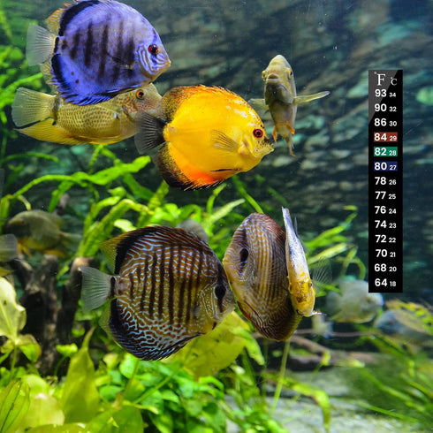 AQUANEAT 6 PCS Thermometer Strips, Fish Tank & Reptile Thermometer Sticker, Terrarium Water Temperature Test