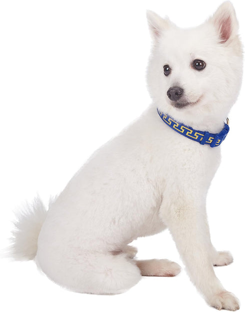 Blueberry Pet 4 Patterns Gold Metallic Thread T-Shape Adjustable Dog Collar, Large, Neck 18"-26" in Royal Blue