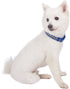 Blueberry Pet 4 Patterns Gold Metallic Thread T-Shape Adjustable Dog Collar, Large, Neck 18"-26" in Royal Blue