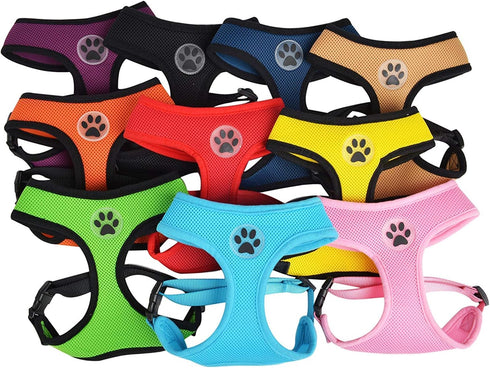 BINGPET Dog Vest Harness - Lightweight Breathable Sports Mesh Adjustable Harness for Small Dogs