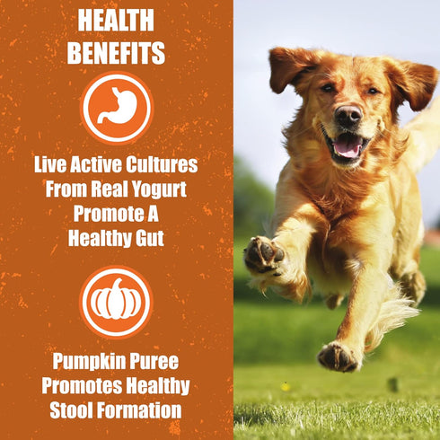 Whole Life Pet Human Grade Probiotic Dog Treats - Pumpkin & Yogurt – Easy Digestion, Made in The USA