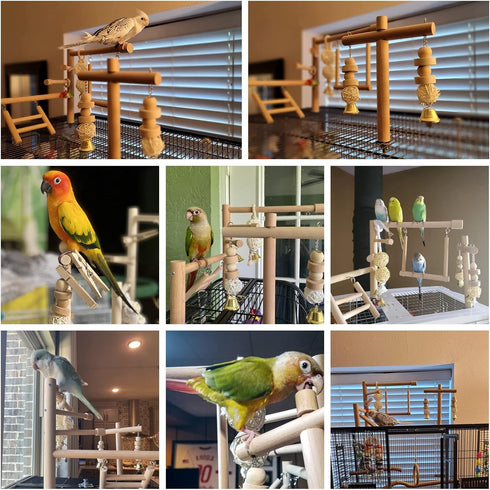 Set-Birdcage QBLEEV Bird Cage Play Stand Toy Wood Stands Hanging Chew Toys Ladder Swing Parrot Perch Play Gym