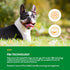 NaturVet Advanced Probiotics and Enzymes Supplement, Plus Vet Strength PB6 Probiotic, 70 Soft Chews Made in the USA