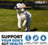 Probiotics for Dogs - 170 Dog Probiotics Chews for Digestive Health, Anti Diarrhea & Gas Relief