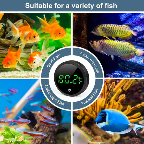 Ankilo 5S 1F, Upgraded Aquarium Thermometer, Refresh Speed, Digital Fish Tank Thermometer LED Display Stick-on