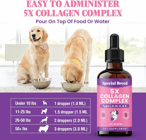 Immune 2oz Premium Collagen for Dogs - Liquid Support for Joints, Skin, Coat, Bone, System & HIPS - Collagen Supplement