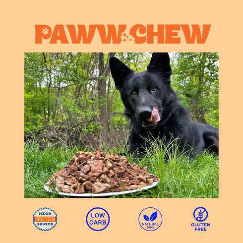Beef Lung Dog Treats, All Natural Single Ingredient, 2.5 Pound, Made in The USA, Dehydrated High Protein