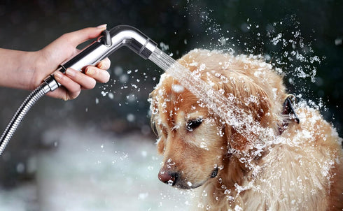 Dog Shower Attachment Metal, YDmeet Pet Shower Attachment for Fast Pet Bathing, Adjustable Sprayer, 8 ft Hose, Chrome