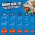Chuckit Ultra Ball Dog Toy, XXL (4 Inch Diameter), Single Pack for Breeds 100+ lbs