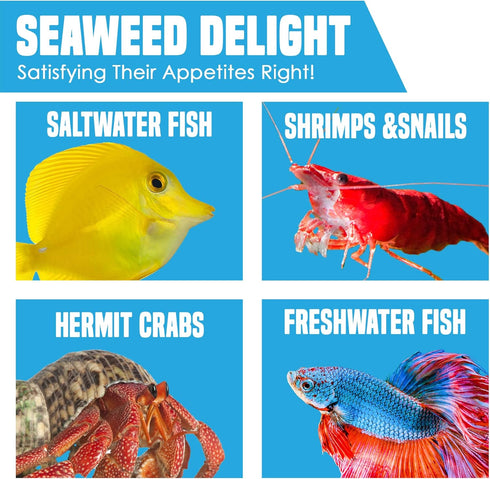 20 Seaweed Sheets for Tangs, Angels, Plecos, Nutrient-Rich Dried Snack for Bottom Feeders, 1 oz. Pet Feed