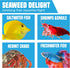 20 Seaweed Sheets for Tangs, Angels, Plecos, Nutrient-Rich Dried Snack for Bottom Feeders, 1 oz. Pet Feed