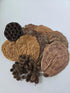 Natural Dried Catappa Leaves Aquarium Botanical, Tannin, Lotus Pods, Casuarina Cones, Indian Almond Leaves, Aquarium