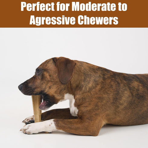 SPOT Bam-Bones Plus T-Bone Dog Chew, Bamboo Fiber & Nylon, Durable for Aggressive Chewers, 6in
