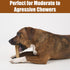 SPOT Bam-Bones Plus T-Bone Dog Chew, Bamboo Fiber & Nylon, Durable for Aggressive Chewers, 6in