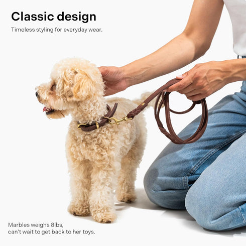 Scout Supply Classic Leather Dog Leash, Strong Heavy Duty Thick Full Grain Leather, Dark Brown, M: 4.5 ft x 1/2 in