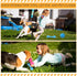 Jenaai 50 Pack Puppy Chew Toys for Teething, Soft Interactive Dog Toys, Assorted Styles for Small Dogs Anxiety Relief