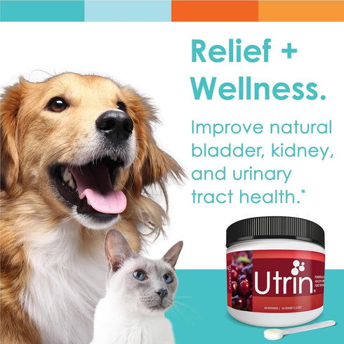 UTRIN Urinary Support for Cats & Dogs, Dual-Action Cranberry & D-Mannose, 60 Servings