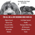 Pride and Groom DogDays Curly + Wavy The Scrub Kit - Natural Dog Shampoo with Silicone Scrubber Gloves for Low