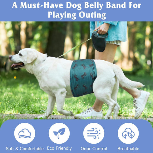 5 Pack Dog Diapers Male, Premium Belly Bands for Male Dogs, High Absorbing Dog Pee Wraps for Doggie in Incontinence
