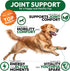 170 Hemp Hip and Joint Supplement for Dogs - Glucosamine for Dogs - Mobility Support Chews - Advanced Joint Pain Relief